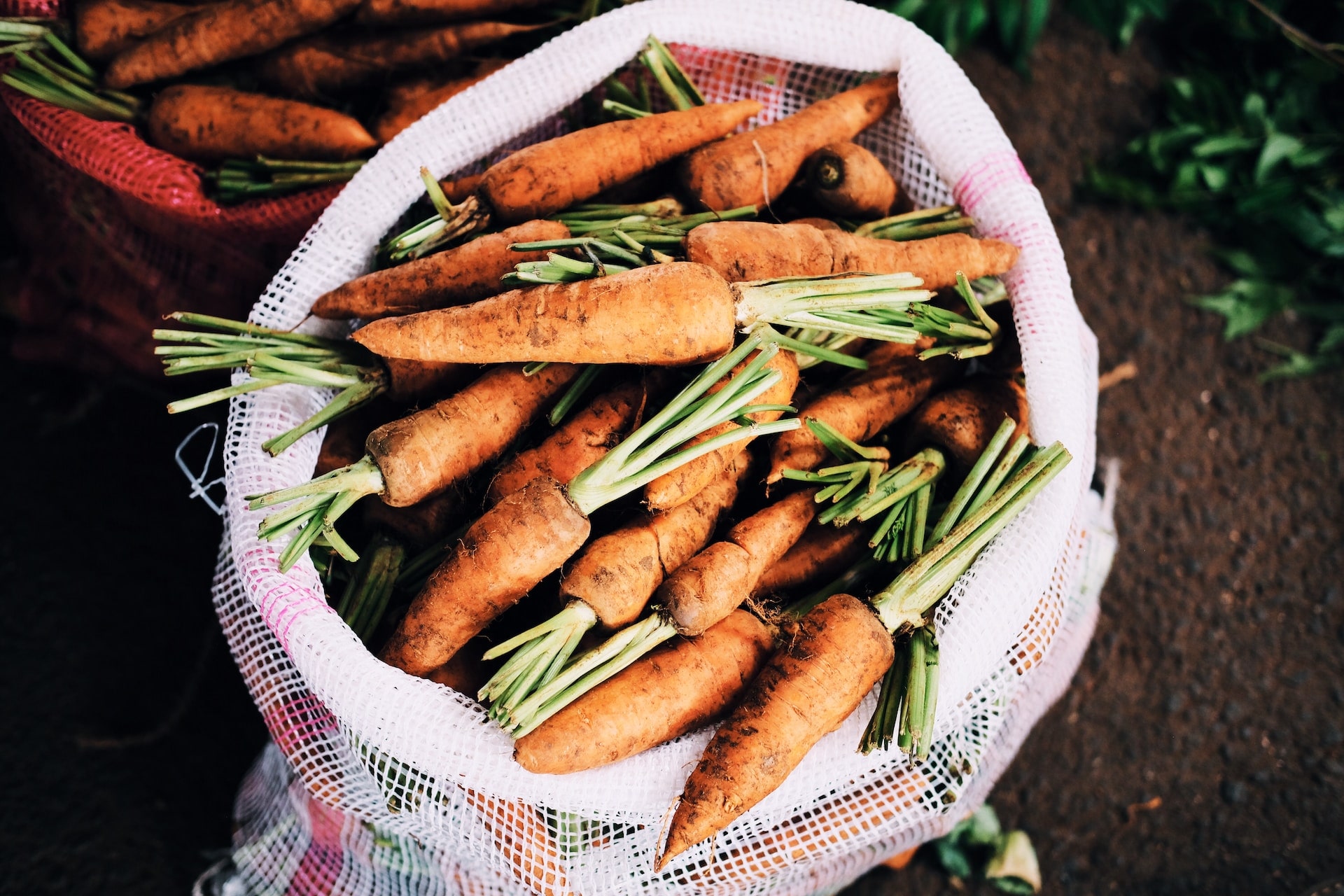 Kejuruan processing
